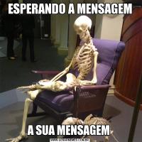 ESPERANDO A MENSAGEMA SUA MENSAGEM 