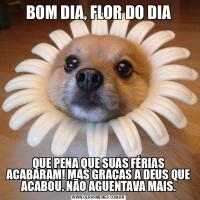 BOM DIA, FLOR DO DIAQUE PENA QUE SUAS FÉRIAS ACABARAM! MAS GRAÇAS A DEUS QUE ACABOU. NÃO AGUENTAVA MAIS.