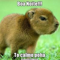 Boa Noite!!!To calmo poha
