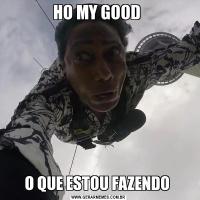 HO MY GOOD O QUE ESTOU FAZENDO 