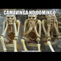 CAMAVINGA NO DOMINGO 