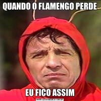 QUANDO O FLAMENGO PERDE EU FICO ASSIM