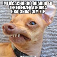MEU CACHORRO QUANDO EU TENTO FAZER ALGUMA GRACINHA COM ELE