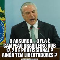 Q ABSURDO... O FLA É CAMPEÃO BRASILEIRO SUB 17, 20 E PROFISSIONAL ? AINDA TEM LIBERTADORES ?