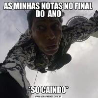 AS MINHAS NOTAS NO FINAL DO  ANO*SO CAINDO*