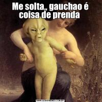 Me solta,, gauchao é coisa de prenda 