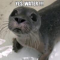 YES, WATER !!!
