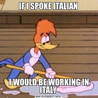 IF I SPOKE ITALIAN I WOULD BE WORKING IN ITALY