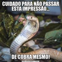 CUIDADO PARA NÃO PASSAR ESTA IMPRESSÃO...DE COBRA MESMO!