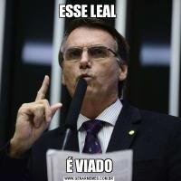 ESSE LEAL É VIADO