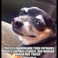 "PASSEI A MADRUGADA TODA COPIANDO PROFESSOR, MAS ESQUECI, VOU MANDAR MINHA MÃE TRAZER"