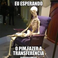 EU ESPERANDOO PIM FAZER A TRANSFERÊNCIA