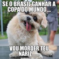 SE O BRASIL GANHAR A COPA DO MUNDO....VOU MORDER TEU NARIZ.......