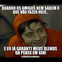 QUANDO OS AMIGOS NEM SABEM O QUE VÃO FAZER HOJE..E EU JÁ GARANTI MEUS BLENDS DA PENSE EM GIN!