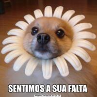 SENTIMOS A SUA FALTA
