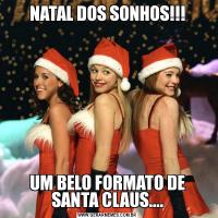 NATAL DOS SONHOS!!!UM BELO FORMATO DE SANTA CLAUS....