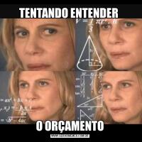 TENTANDO ENTENDER O ORÇAMENTO