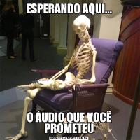 ESPERANDO AQUI...O ÁUDIO QUE VOCÊ PROMETEU