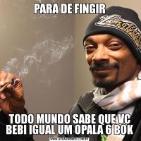 PARA DE FINGIRTODO MUNDO SABE QUE VC BEBI IGUAL UM OPALA 6 BOK