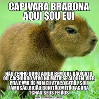 CAPIVARA BRABONA AQUI SOU EU!NÃO TENHO DONO AINDA BEM QUE NÃO GATO OU CACHORRO,VIVO NA MATA SE ALQUEM VIER PRA CIMA DE MIM EU ATACO GERAL,SOU FAMOSÃO,RICÃO,BONITÃO,MITÃO AGORA TCHAU SEUS FEIÃOS