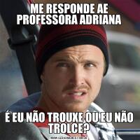 ME RESPONDE AE PROFESSORA ADRIANAÉ EU NÃO TROUXE OU EU NÃO TROLCE?