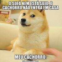 O SOFÁ NEM ESTÁ SUJO, O CACHORRO NÃO ENTRA EM CASAMEU CACHORRO: