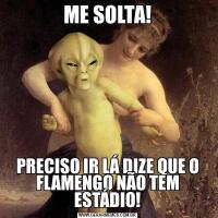 ME SOLTA!PRECISO IR LÁ DIZE QUE O FLAMENGO NÃO TEM ESTÁDIO!
