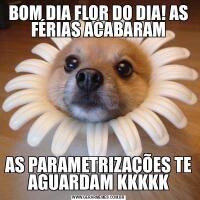 BOM DIA FLOR DO DIA! AS FÉRIAS ACABARAMAS PARAMETRIZAÇÕES TE AGUARDAM KKKKK