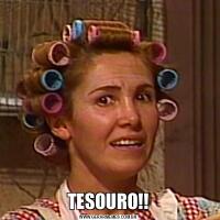 TESOURO!!