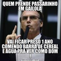 QUEM PRENDE PASSARINHO EM GAILOLAVAI FICAR PRESO 1 ANO COMENDO BARRA DE CEREAL E ÁGUA PRA VER COMO BOM !