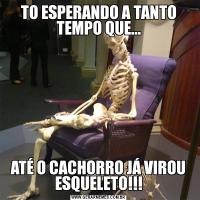 TO ESPERANDO A TANTO TEMPO QUE...ATÉ O CACHORRO JÁ VIROU ESQUELETO!!!