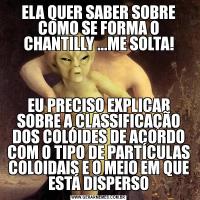ELA QUER SABER SOBRE COMO SE FORMA O CHANTILLY ...ME SOLTA!EU PRECISO EXPLICAR SOBRE A CLASSIFICAÇÃO DOS COLÓIDES DE ACORDO COM O TIPO DE PARTÍCULAS COLOIDAIS E O MEIO EM QUE ESTÁ DISPERSO