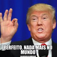 PERFEITO, NADA MAIS NO MUNDO