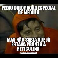 PEDIU COLORAÇÃO ESPECIAL DE MEDULAMAS NÃO SABIA QUE JÁ ESTAVA PRONTO A RETICULINA 