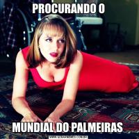 PROCURANDO OMUNDIAL DO PALMEIRAS 