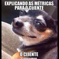 EXPLICANDO AS MÉTRICAS PARA O CLIENTEO CLIENTE