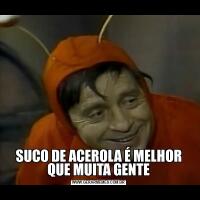 SUCO DE ACEROLA É MELHOR QUE MUITA GENTE
