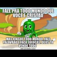 FALE PRA TODO MUNDO QUE VOCÊ É CRISTÃOMAS XINGUE TODO MUNDO, FALE PALAVRÃO E FAÇA FOFOCAS. DEUS TÁ VENDO TUDO 