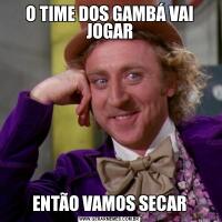 O TIME DOS GAMBÁ VAI JOGARENTÃO VAMOS SECAR