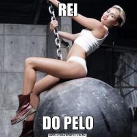 REIDO PELO