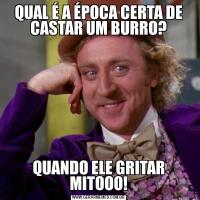 QUAL É A ÉPOCA CERTA DE CASTAR UM BURRO?QUANDO ELE GRITAR MITOOO!