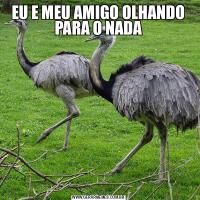 EU E MEU AMIGO OLHANDO PARA O NADA