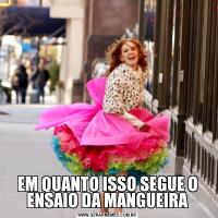 EM QUANTO ISSO SEGUE O ENSAIO DA MANGUEIRA