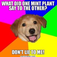 WHAT DID ONE MINT PLANT SAY TO THE OTHER?DON'T LIE TO ME!