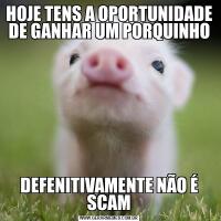 HOJE TENS A OPORTUNIDADE DE GANHAR UM PORQUINHODEFENITIVAMENTE NÃO É SCAM
