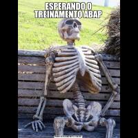 ESPERANDO O TREINAMENTO ABAP
