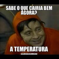 SABE O QUE CAIRIA BEM AGORA?A TEMPERATURA