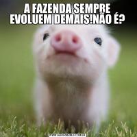 A FAZENDA SEMPRE EVOLUEM DEMAIS!NÃO É?
