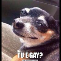 TU É GAY?