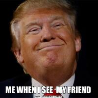 ME WHEN I SEE  MY FRIEND